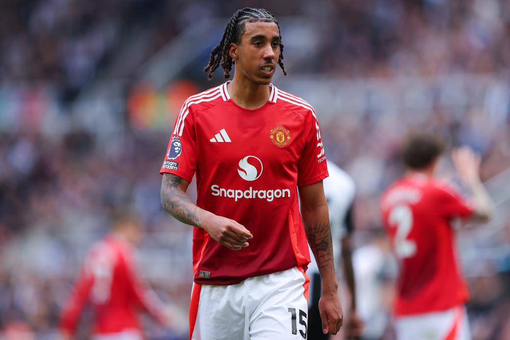 之间的理性 之间的理性